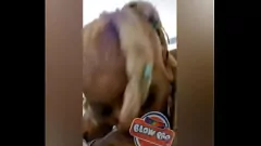 Oynat Prenses Hayze, özensiz bir derin throat oral seks için geri döner - Blowpro Pt. 2